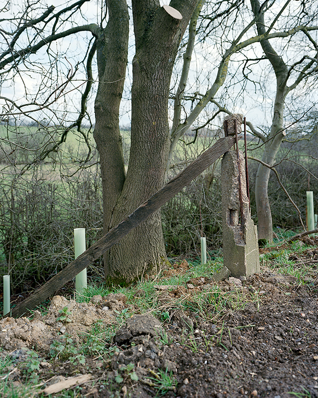 Image 9